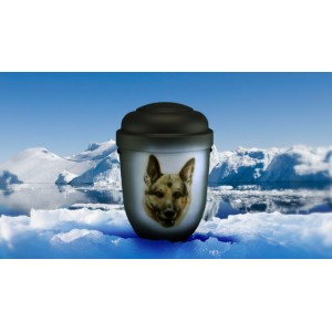 Hand Painted Biodegradable Cremation Ashes Funeral Urn / Casket - German Shepherd / Alsatian Dog